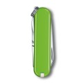 scyzoryk-classic-sd-smash-avocado-zielony-victorinox.jpg2.jpg