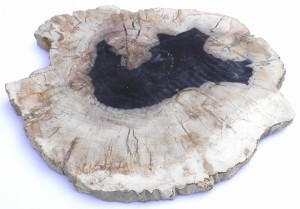 Taca kamienna skamieniałe drewno 29 x 26 cm T31