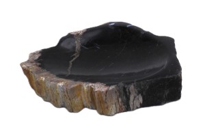 Mydelniczka kamienna skamieniałe drewno 14x14cm MF6
