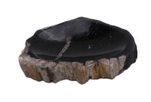 Mydelniczka kamienna skamieniałe drewno 14,5x13cm MF8