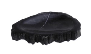 Mydelniczka kamienna skamieniałe drewno 15,5x10,5cm MF17