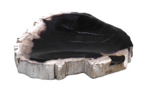 Mydelniczka kamienna skamieniałe drewno 14,5x14cm MF19