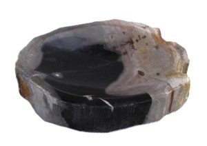 Mydelniczka kamienna skamieniałe drewno 14x13cm MF31