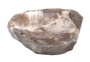 Mydelniczka kamienna skamieniałe drewno 14,5x14cm MF51