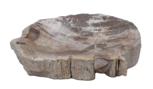 Mydelniczka kamienna skamieniałe drewno 14x11,5cm MF52