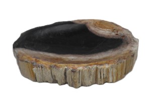 Mydelniczka kamienna skamieniałe drewno 16x13cm MF53
