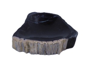 Mydelniczka kamienna skamieniałe drewno 14x13cm MF56