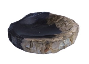 Mydelniczka kamienna skamieniałe drewno 13,5x13cm MF59