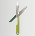 phpThumb_generated_thumbnailjpg1.jpg