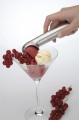 1104751_AT_PIC_003.jpg