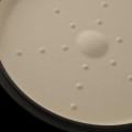 garnek-zeliwny-gem-24-cm-4-4l (5).jpg