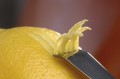 1108476_AT_PIC_001.jpg